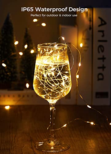 Brightown 12 Pack Led Fairy Lights Battery Operated String Lights Waterproof Silver Wire 7 Feet 20 Led Firefly Starry Moon Lights for DIY Wedding Party Bedroom - color: Warm White & White, size: 12 Pack