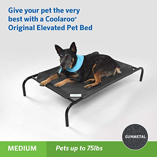 Coolaroo Original Elevated Dog Bed - Breathable Off-The-Ground Pet Bed with Cooling Fabric, Joint Relief & Moisture-Resistant Fabric, 100% Recyclable, Easy Clean, Gunmetal, Medium - color: Gunmetal, style: Medium Dog Bed