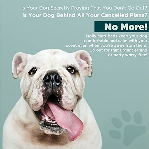 Molly Mutt Water-Resistant Dog Bed Liner, Polyester Bed Liner for Dogs, Easy to Clean, Gray, Small,22"x27"x4.75" - size: Small, style: New Version