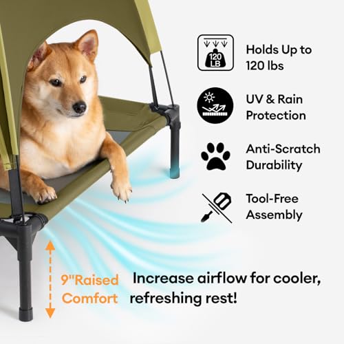 FUNNY FUZZY Elevated Dog Bed with Canopy, Green, Small (24"x18"x7") – Outdoor Pet Cot with UV Protection, Breathable Mesh for Cooling, Indoor & Outdoor Use for Dogs up to 120 lbs,Green - color: Green, size: Small