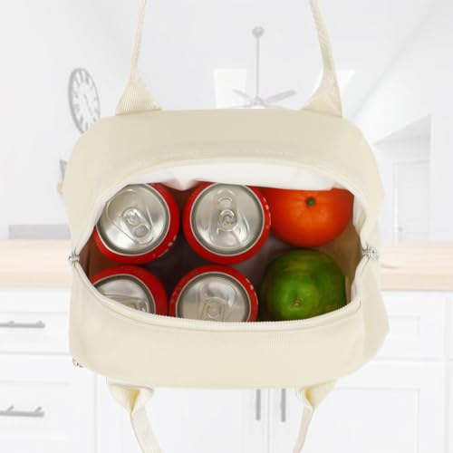 FlowFly Insulated Lunch Cooler Bag - Tote Bag Organizer for Women/Men, Beige - color: Beige