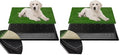 Artificial Grass for Dog Potty – 16x20 inch,Strong Absorbency Grass Pad, Dog Grass Pad with Tray, Dog Potty Training Pad, Dog Litter Box with Grass (Small) (Pack of 2) - size: 16" x 20" (Pack of 2)