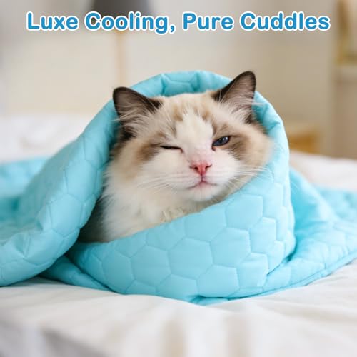 Vivifying Cooling Blanket for Dogs, Q-MAX>0.5 Waterproof Reversible Dog Cooling Mat, Soft Pet Throw Cooling Mat for Couch, Bed, Crate, Car Seat, Breathable Summer Cat Bed Blanket 30 x 40 Inches - size: M(30"x40")
