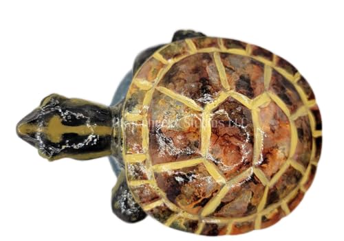 OKaucheeky Decorative Heavy-Duty Steel Rolling Hose Guide Turtle, 100% Handcrafted, Made in the USA by a Women-Owned Small Business, Each is One-of-A-Kind Hand-Painted