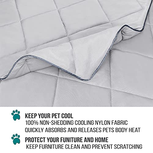 PetAmi Premium Cooling Dog Blanket | Lightweight Fluffy Pet Throw Blanket Bed Cover for Dogs, Cat, Puppies | Pet Blanket Furniture Protector Couch Sofa | Reversible Fuzzy Cozy | 60x80, Light Grey - color: Light Grey, size: X-Large (60x80)