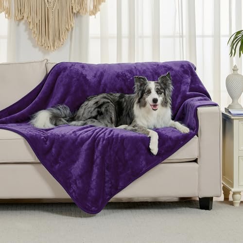 Waterproof Blanket for Bed Couch Sofa, Soft Liquid Pee Proof Pet Blanket for Dog Puppy Cat, Reversible Sherpa Fleece Furniture Protector (Dark Purple, 60x80 inches) - color: Dark Purple, size: 60x80 inches