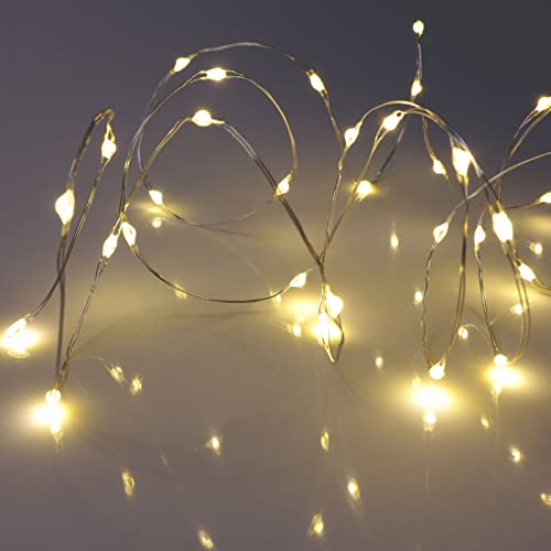 QBIS Warm White Fairy Lights Battery Operated With Timer Mode, 40 Micro LED for Mason Jars, 6.5ft Silver Wire Indoor Use - size: 1PK-40 Warm White