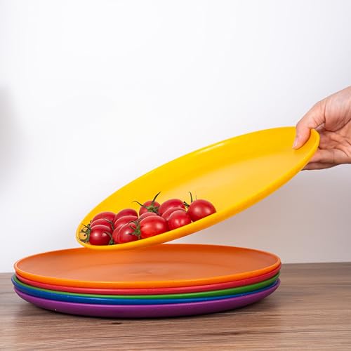 10.5 inch Wheat Straw Dinner Plates Plastic Plates Reusable, set of 12 Multicolor Microwave and Dishwasher Safe BPA Free Eco Friendly