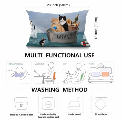 Smooffly Funny Cats hrow Pillow Cover, The Two Brave Cats are Drifting in The Steel Waist Lumbar Cotton Linen Throw Pillow case Cushion Cover for Sofa Home Decorative Oblong 12x20 Inches - color: Swn12