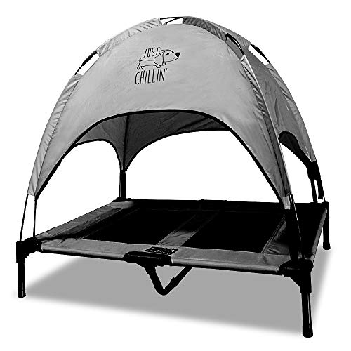 Floppy Dawg Just Chillin' Elevated Dog Bed. Cool Cot with Removable Canopy Shade. Indoor or Outdoor Pet Use. Lightweight and Portable. Chill in Style on Raised Breathable Mesh Fabric. - color: Large Gray