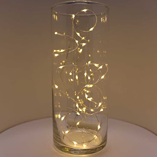 QBIS Warm White Fairy Lights Battery Operated With Timer Mode, 40 Micro LED for Mason Jars, 6.5ft Silver Wire Indoor Use - size: 1PK-40 Warm White
