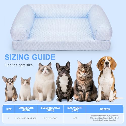 Cat Bed, Cat Beds for Indoor Cats, Summer Cooling Pet Sofa Bed, Washable Medium Pet Bed for Puppy and Small to Large Kitten with Anti-Slip Bottom, Fits Up to 65lbs Pets - color: Blue Sofa, size: Medium