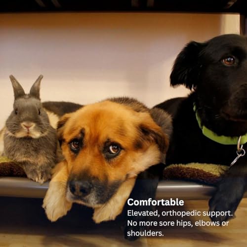 Kuranda Chewproof Elevated Dog Bed - Walnut PVC - 25" x 18" - Heavy Duty Vinyl - Smoke - color: Smoke, size: 25" x 18" - Walnut PVC