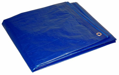 Dry Top 81012 Multi-Purpose Economy Poly Tarp, 10x12 Feet, Blue