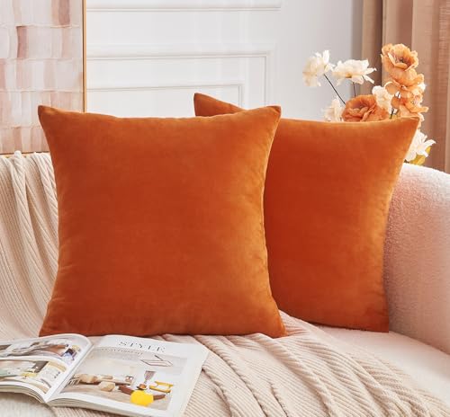 Throw Pillow Covers Burnt Orange Set of 2 16x16 Inch Fall Pillow Covers, Soft Velvet Farmhouse Neutral Decorative Pillowcases for Couch Sofa Bed, Home Boho Decor, Modern Cushion Covers - color: Burnt Orange1, size: 16" x 16" (Pack of 2)