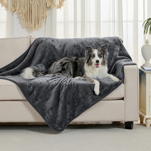 Waterproof Blanket for Bed Couch Sofa, Soft Liquid Pee Proof Pet Blanket for Dog Puppy Cat, Reversible Sherpa Fleece Furniture Protector (Dark Grey, 50x60 inches) - color: Dark Grey, size: 50x60 inches