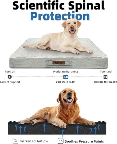 Sytopia Indestructible Dog Bed, 42" XL Chew Proof Dog Bed for Extra Large Dogs (90 lbs), Durable Waterproof Pet Bed, Chew Resistant Dog Crate Pad, Washable Cover, Indoor & Outdoor Use, Light Gray