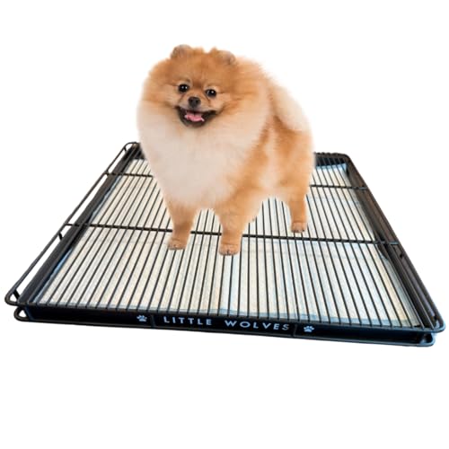 Little Wolves Puppy Potty Tray – 22x22 Shred-Proof Heavy-Duty Training Tray for Puppies & Small Dogs, Easy-Clean, Indoor Dog Pee Pad Holder (Small Gap) - size: Small Gap