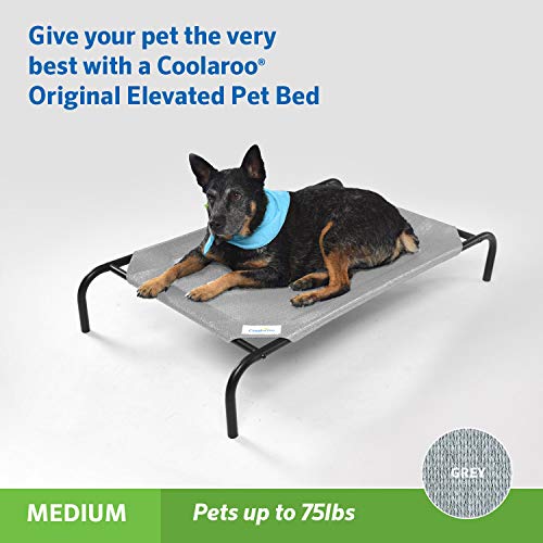 Coolaroo Original Elevated Dog Bed - Breathable Off-The-Ground Pet Bed with Cooling Fabric, Joint Relief & Moisture-Resistant Fabric, 100% Recyclable, Easy Clean, Grey, Medium - color: Grey, style: Medium Dog Bed