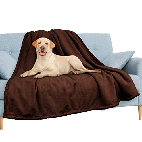 Pavilia Waterproof Couch & Dog Blanket | Plush Soft Warm Fuzzy Sherpa, Brown, 90x90 - color: Brown, size: 90x90 Inches