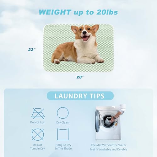 MICROCOSMOS Pet Cooling Mat & Sleeping Pad- Breathable Bubble Surface, EZ Clean. Keep Cooling for Pets, Kids and Adults in Summer.(Green, 28" x 22") - color: Green, size: 28" x 22"