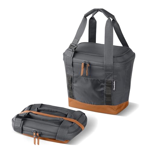 CleverMade Pacifica Collapsible Cooler Bag – Small Portable Cooler Bag for Travel, Foldable Insulated Cooler for Beach, Picnic & Road Trips, Holds Up to 18 Cans, Leakproof Soft Carry Cooler - Gray - color: Charcoal Gray, size: Small