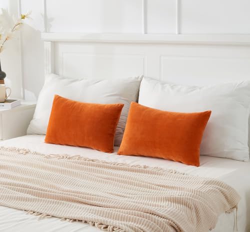 Throw Pillow Covers Burnt Orange Set of 2 12x20 Inch Fall Pillow Covers, Soft Velvet Farmhouse Neutral Lumbar Decorative Pillowcases for Couch Sofa Bed, Home Boho Decor, Modern Cushion Covers - color: Burnt Orange1, size: 20" x 12" (Pack of 2)