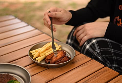 Boundless Voyage Ultralight Titanium Bowl Pan Plate Dish with Carry Bag Outdoor Camping Portable Tableware Cookware (Ti15166B (Plate-S)) - color: Ti15166B (Plate-S)