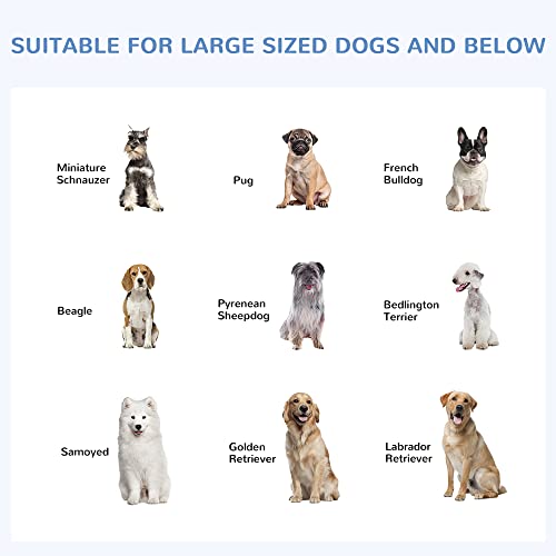 PawHut Outdoor Dog Kennel, Heavy Duty Dog Run Outdoor Fence with Waterproof Cover, Galvanized Chain Link, Secure Lock, 9.8' x 9.8' x 7.7' - size: 118.0"L x 118.0"W x 92.3"H