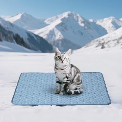 Soulbond Cooling Mat for Small Dogs - 25" x 35" Washable Cooling Mat for Cats, QMAX>0.3, Anti-Slip Bottom, Portable Summer Cool Puppy Bed Pad for Outdoor/Indoor/Cars/Travel Use, Ocean Blue - color: Ocean Blue, size: 25" x 35" (Small)