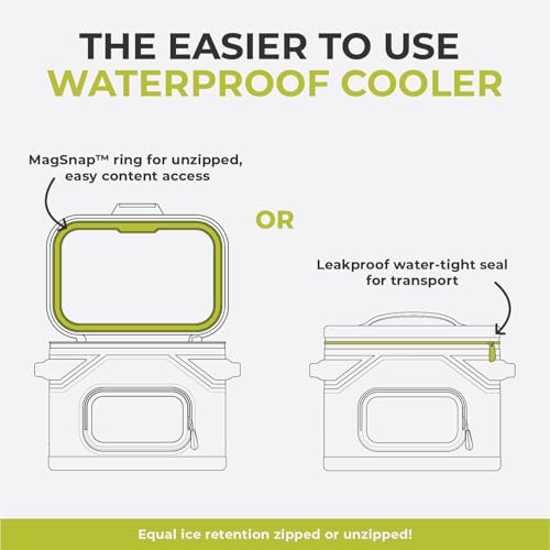 CORE Magnetic Leak Proof Soft Cooler with Waterproof Zipper | Insulated Bag Portable Ice Chest Box | Best Soft Cooler for Food & Beverages for Tailgating, Car Camping, Travel, and Family Beach Picnics - color: Shadow Gray, size: 12 Can