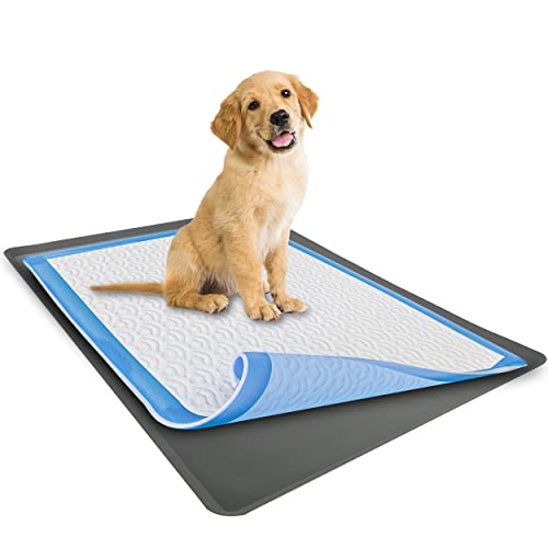 TidyFriend Dog Pee Pad Holder Tray Fits for 28” x 34” Wee Wee Pee Pads - Stable Grip, Raised Edges, Quick-Wipe Silicone Surface Dog Potty Tray Holder for Indoor Flooring Protection (Grey) - color: Gray
