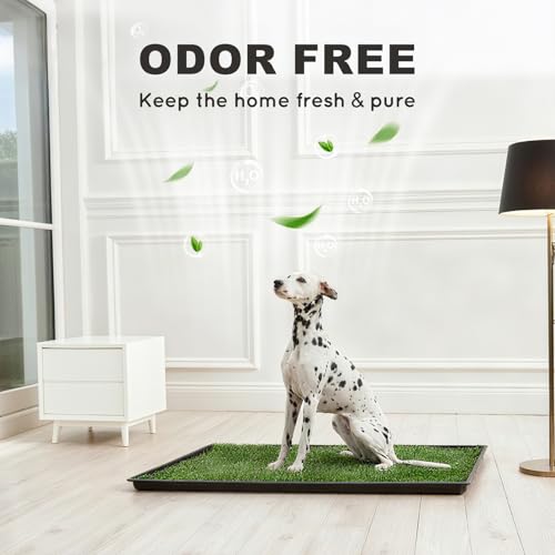 HQ4US 4LEGS Dog Grass Pad with Tray Extra Large 45”×34”, Dog Litter Box with Odor Free Artificial Grass Pee Pads for Dogs Potty Tray with Hemmed Edge, Realistic for Indoor Balcony - size: X-large for Dog＜ 38" Length