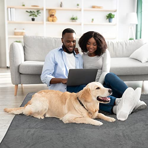 LOOBANI Washable Pee Pad for Dogs, 2 Packs Non-Slip Puppy Training Pads, Fast Absorbent Pet Whelping Pads, Puppy Playpen Mat for Incontinence, Housebreak, Crate, 36x41in, Gray - size: 36"*41"(Pack of 2) Gray