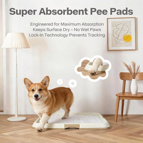Pawise Upgraded Dog Pee Pad Holder for Puppy, Puppy Pad Holder Tray, Pet Training Pee Pad, Indoor Potty Tray for Senior Dogs, Dog Toilet for Newborn Puppies, Includes 4 Pee Pads,23.5" x 23.5" - size: Medium