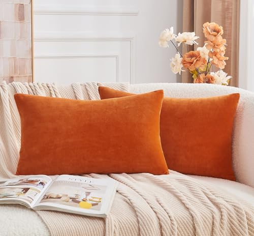 Throw Pillow Covers Burnt Orange Set of 2 12x20 Inch Fall Pillow Covers, Soft Velvet Farmhouse Neutral Lumbar Decorative Pillowcases for Couch Sofa Bed, Home Boho Decor, Modern Cushion Covers - color: Burnt Orange1, size: 20" x 12" (Pack of 2)