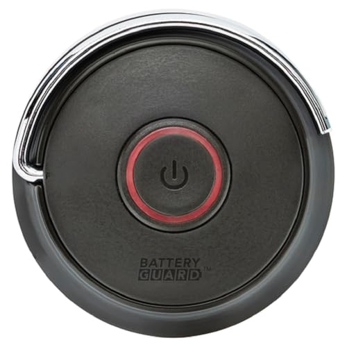 Coleman LED Lantern with Enhanced Battery Protection, Water-Resistant, Batteries Last up to 25% Longer Than Other Lanterns, Great for Camping, Power Outage, Emergencies, & More - style: 200 Lumens
