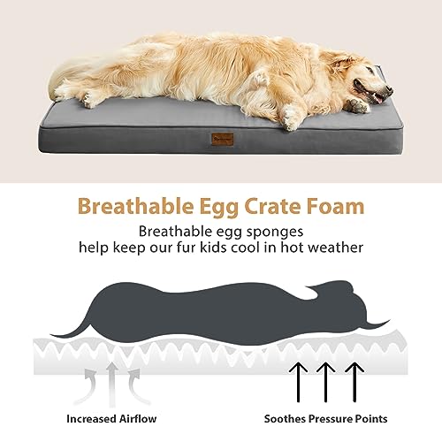 BFPETHOME Outdoor Dog Bed - Waterproof, Orthopedic, Removable Cover, Egg Crate Foam (54 x 36 in, Deep Grey) for Medium, Large, Extra Large Dogs - color: Dark Grey, size: 54.0"l X 36.0"w X 4.0"th