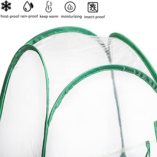 Lyellfe Pop Up Greenhouse Cover, PVC Mini Greenhouse with Nails, 28" x 28" x 34" Clear Portable Backyard Gardening Flower Sunshine Tent Room for Indoor Outdoor Plant, Cold Frost Protector