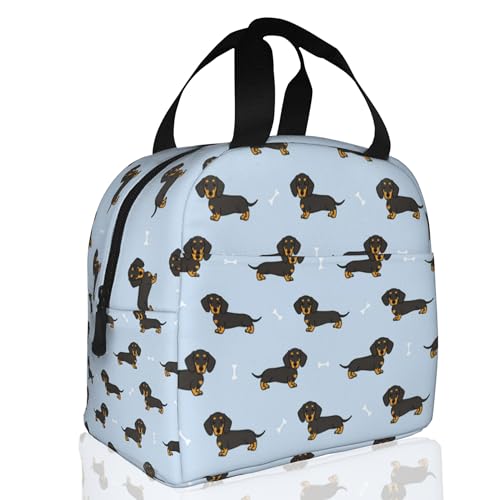 Dachshund Dog Lunch Box,Insulated Lunch Bag for Girls Boys,Reusable Lunch Box for Kids Adults School Student Work Picnic Travel - color: Dachshund Dog