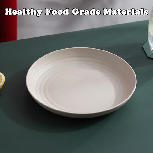 Wheat Straw Plates Unbreakable Dinner Plates Set of 6, Reusable Lightweight Plastic Plate for Camping Kitchen, Microwave and Dishwasher Safe (Beige) - color: 6 Beige