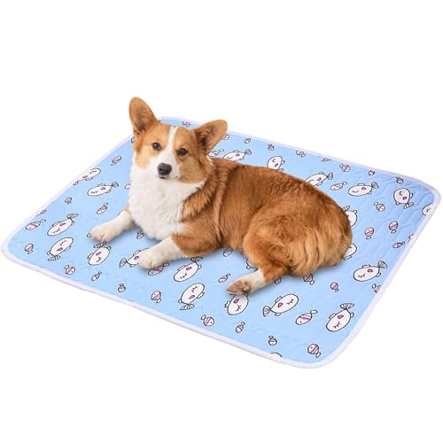 Dog Cooling Mat - Pressure Activated Cooling Pad, Gel Mat | Portable Lightweight for Dogs, Easy Clean, Heatstroke Prevention, Joint, Suitable for All Breeds and Senio - color: S