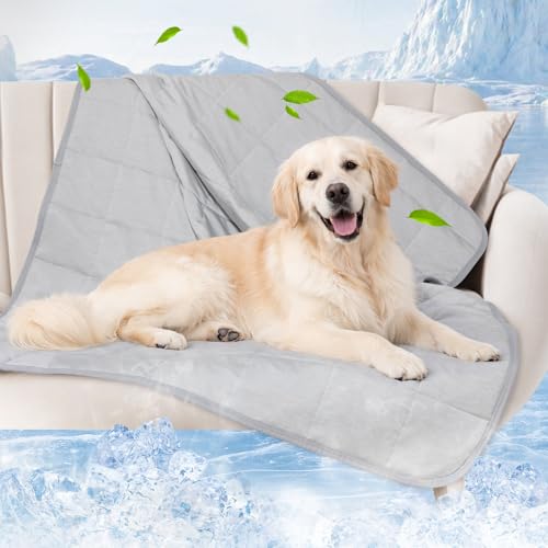 PICK FOR LIFE Cooling Blanket for Dogs, 0.4 Q-MAX Pets Cooling Comforter for Bed Cover, Summer Blanket for Large Dogs Washable, Soft Lightweight Cold Mats for Pet Hot Weather Sleeping (60"×80"/Grey) - color: Grey, size: 60" X 80"