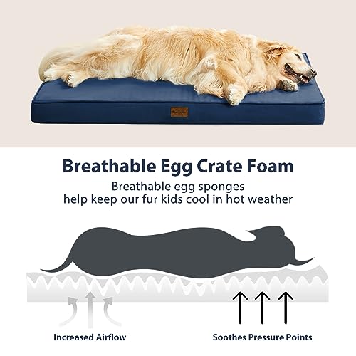 BFPETHOME Outdoor Dog Beds for Large Dogs, Waterproof Dog Bed for Medium, Large, Extra Large Dogs, Orthopedic Dog Bed with Removable Washable Cover, Egg Crate Foam Pet Bed Mat. (47 x 29 in, Navy) - color: Navy, size: 47.0"l X 29.0"w X 3.5"th