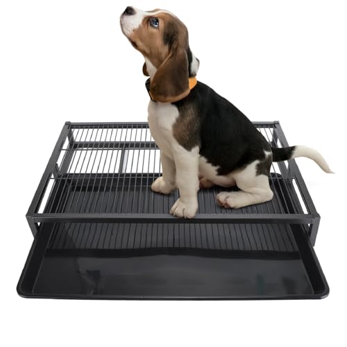 Dog Potty Tray, Pet Indoor Dog Training Toilet, Pet Litter Box Dog Training Toilet, Puppy Pee Pad Holder Mesh Pad Tray, Dog Potty Training Pee Pad Holder for Small Dogs - size: Medium