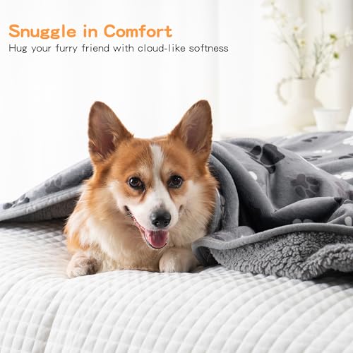 Waterproof Dog Blankets Pet Blanket, 30"x40" Cat Blanket for Indoor Cats, Soft Fluffy Sofa Car Bed Protector, Reversible Sherpa Fleece Puppy Blanket for Small Medium Dogs (Dark Grey-Paws) - color: Dark Grey-paws, size: 30"x40"