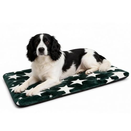 Washable Dog Bed Mat with Anti-Slip Bottom, Deluxe Plush Memory Foam Crate Pad & Waterproof Outdoor Kennel Mat for Dogs & Cats-Durable Crates Beds, Large Medium Small Puppy Size30 x 20",Green - color: Green-Star, size: Upgraded M（30" L x 20" W x 1.5" Th）