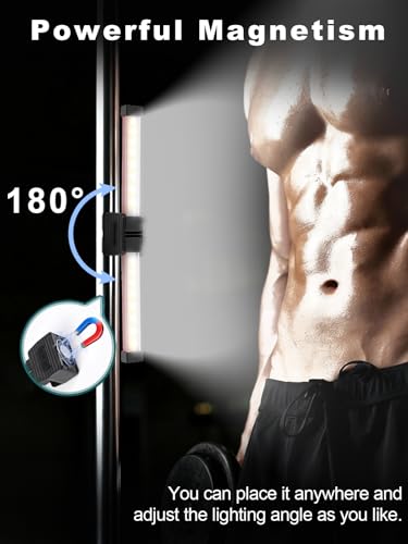 Gym Lamp, YETHKE Portable Gym Lighting for Posing, Magnetic Work Light with Portable Charger, Gift for Men/Women, 180° Rotate Foldable with Hang Hook Camping Lamp, LED Handheld Flashlight-Rose - color: Rose