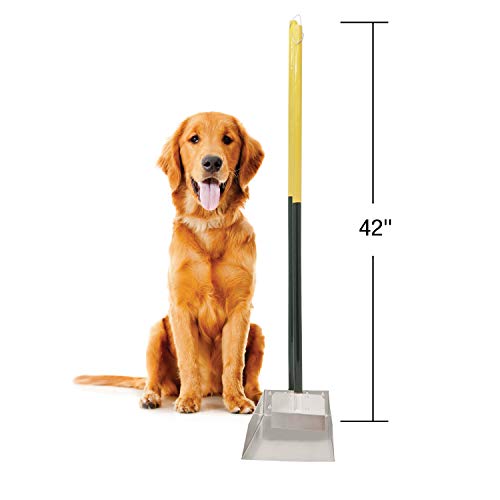 Four Paws Stainless Steel Long-Handled Dog Pooper Scooper Spade & Pan 2 Piece Set, Pet Waste Pickup Tool, 38" x 7" - size: Small, 7" x 7" x 38", style: Spade & Pan Set