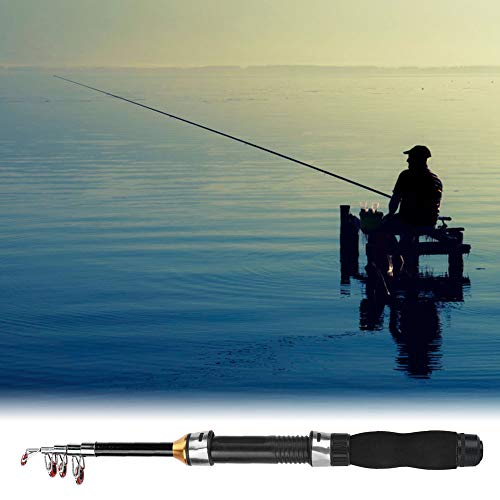 Fishing Rod, Universal Mini Small Sea Pole Portable Short Pole Ice Fishing Rod Mini Pocket Sea Fishing Tools for Ice Fly Fishing Sea Saltwater Kit Gift for Festivals - size: 1.2m